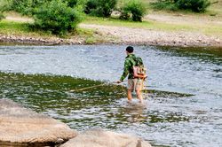 Cái chết đau lòng do kích điện đánh bắt cá