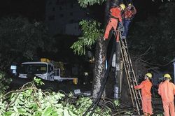 Đông Anh, Hà Nội: Mất điện trên diện rộng do sét, mưa bão