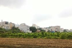 Ai bảo kê cho hàng trăm ngôi nhà 'mọc' trên đất nông nghiệp?