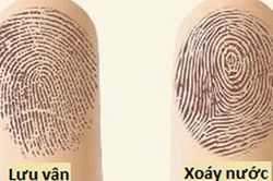 Nhìn hoa tay, biết ngay sự nghiệp thăng tiến hay lụi bại