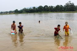 Trẻ em ngâm mình trong nước lũ bắt cua