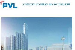 Ngạc nhiên đại gia dầu khí PVL không doanh thu nhưng vẫn có lãi