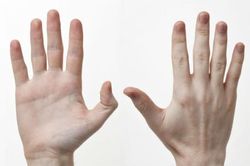 Nhìn hình dáng bàn tay, biết ngay tính cách vận mệnh trọn đời