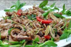 Top bài thuốc hay từ thịt mèo chữa bệnh cực tốt