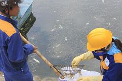 Vì sao bao cao su nổi trắng góc hồ Linh Đàm?