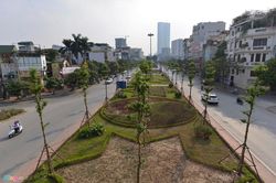 Cỏ bị giẫm, héo úa ở đường đẹp nhất Việt Nam