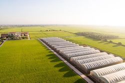 Định vị ngành lúa gạo Việt Nam thông qua bản đồ công nghệ