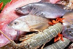 Cách giữ hải sản biển tươi ngon đến 3 ngày không cần tủ lạnh