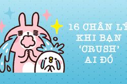 16 điều chuẩn không cần chỉnh khi bạn 'crush' ai đó