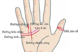 Sở hữu tướng tay này cả đời long đong, lận đận
