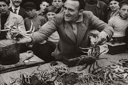 Cuộc sống thường nhật ở Italy hồi thập niên 1950
