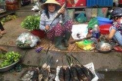 Nhộn nhịp mua cá lóc nướng trong ngày Thần tài