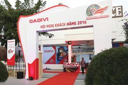 GELEX 'thâu tóm' CADIVI: Giá mua cổ phần chỉ bằng 1/3 thị giá