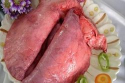 6 bài thuốc từ phổi lợn chữa bệnh thổ huyết