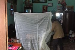 'Rừng' ruồi ở khu dân cư tại Cao Bằng