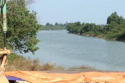 Hai công nhân lao xuống sông cứu phụ nữ đuối nước