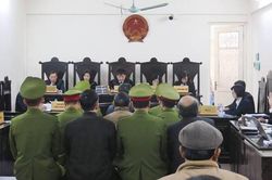 Đại án Vinashinlines: Tổng Cty Hàng hải phải gánh nợ hơn 6.000 tỷ