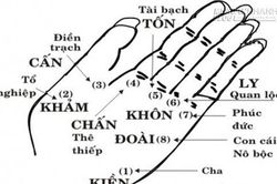 Xem tướng tay chân, biết ngay giàu nghèo sướng khổ