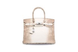 Cận cảnh túi Hermes Birkin mà Ngọc Trinh sở hữu gây tranh cãi