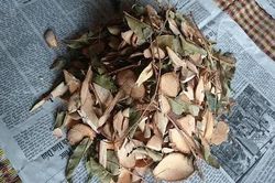 Chống mốc dược liệu bằng xông lưu huỳnh - Có thật sự không độc?