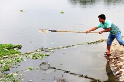 Cá chết ở hồ thủy lợi tại Bình Dương do nguồn nước ô nhiễm