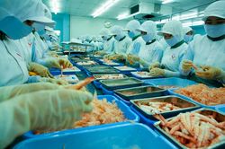 Có thể tăng tuổi nghỉ hưu từ năm 2021