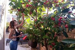 Biệt thự 4 mùa rợp sắc hoa của ca sỹ Hồ Lệ Thu