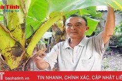 Những thương binh 'miệng nói, tay làm'