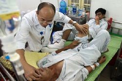 Bệnh viện quá tải, bác sĩ chỉ cách chăm sóc người bị sốt xuất huyết tại nhà