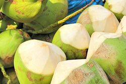 Mang họa vào thân vì uống nước dừa sai cách