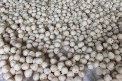 TP Vinh: Phát hiện, thu giữ hơn 2 tấn thực phẩm