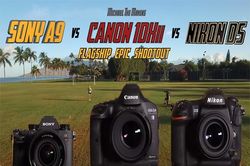Đại chiến máy ảnh: Sony A9 với Canon 1D X Mark II và Nikon D5