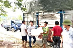 Nghĩa Đàn cấp gần 50 tấn gạo cho học sinh vùng đặc biệt khó khăn