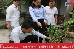 Hà Tĩnh đã dập tắt dịch sốt xuất huyết