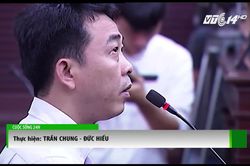 VN Pharma nhập thuốc trị ung thư giả: 'Quả bóng' trách nhiệm đá đi đâu?