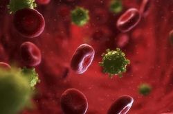 Các nhà khoa học có thể đã tìm ra phương thuốc chữa HIV