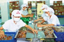 Nông sản Việt đón đầu FTA Việt Nam – EU: Tập trung tháo gỡ vướng mắc về an toàn vệ sinh thực phẩm