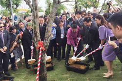 Trưởng đoàn các nền kinh tế APEC tấp nập đến Đà Nẵng