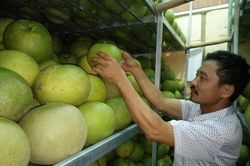 Nghệ An: Hơn 90% doanh nghiệp chưa đăng ký nhãn hiệu