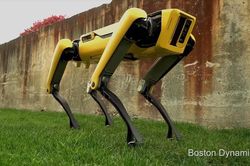 Chú chó robot không đầu đang khuấy đảo cộng đồng mạng