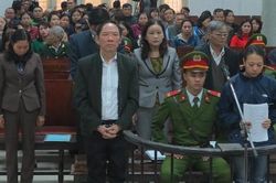 Xét xử nguyên Phó giám đốc sở NN&PTNT Hà Nội cùng đồng phạm