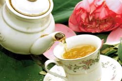 Chữa béo phì giảm mỡ bụng hiệu quả bằng lá sen