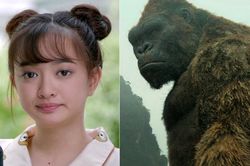 5 phim nội và 5 phim ngoại khuynh đảo phòng vé Việt năm 2017