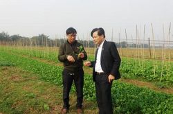 Hội đồng thẩm định NTM tỉnh làm việc tại Hưng Nguyên