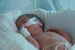 Bé 2 tháng tuổi tử vong sau khi cha mẹ tự chữa ho tại nhà