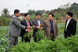 Nam Đàn hoàn thành 9/9 tiêu chí huyện nông thôn mới