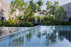 Căn nhà phố chỗ nào cũng thấy cây xanh ở Nha Trang
