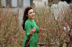 NSƯT Diệu Hương dịu ngọt lạ lùng với ca Huế 'Mười thương'
