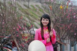 Chưa có đào là Tết chưa về