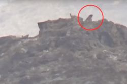 Video cuộc chiến tiêu hao ở Jizan và nạn nhân những phát bắn tỉa của phiến quân Houthi